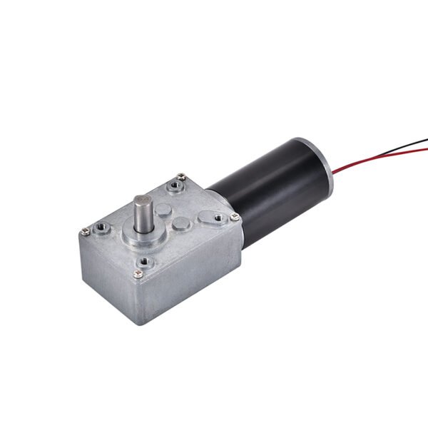 24V Brushless Worm Gear Motor