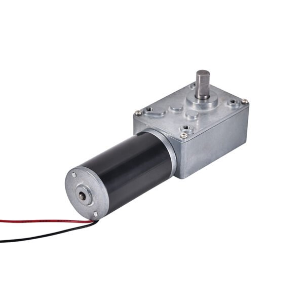 24V Brushless Worm Gear Motor