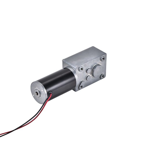 24V Brushless Worm Gear Motor