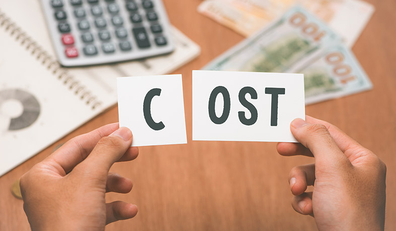 Cost of Ownership: Brush Motor vs. Brushless Motor